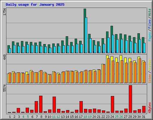 Daily usage for January 2025