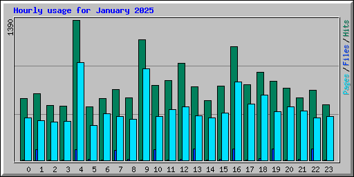 Hourly usage for January 2025