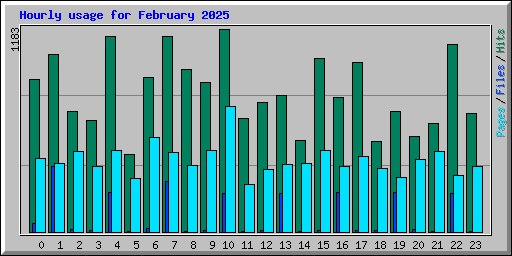 Hourly usage for February 2025