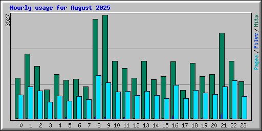 Hourly usage for August 2025