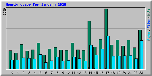 Hourly usage for January 2026